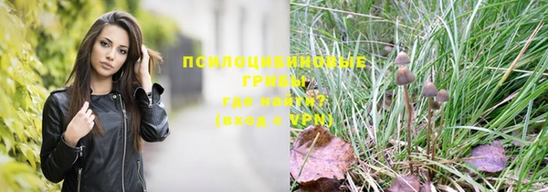 марки lsd Осинники