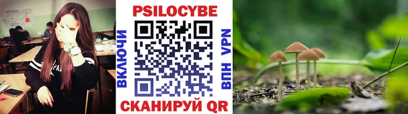 Псилоцибиновые грибы мухоморы где купить наркоту Любим